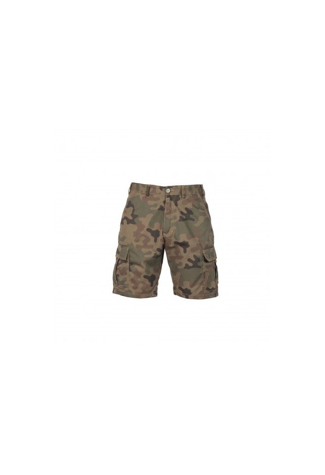 Cargo shorts camo